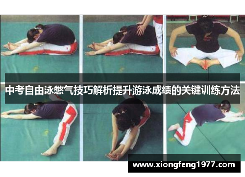 中考自由泳憋气技巧解析提升游泳成绩的关键训练方法