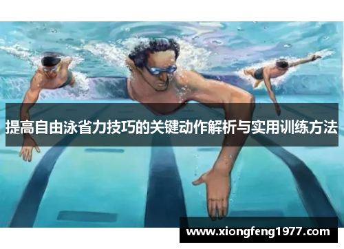 提高自由泳省力技巧的关键动作解析与实用训练方法