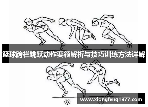 篮球跨栏跳跃动作要领解析与技巧训练方法详解