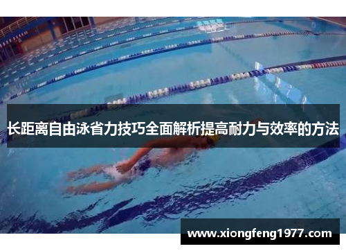 长距离自由泳省力技巧全面解析提高耐力与效率的方法